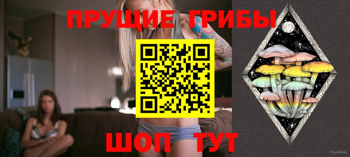 Галлюциногенные грибы Psilocybe Йошкар-Ола
